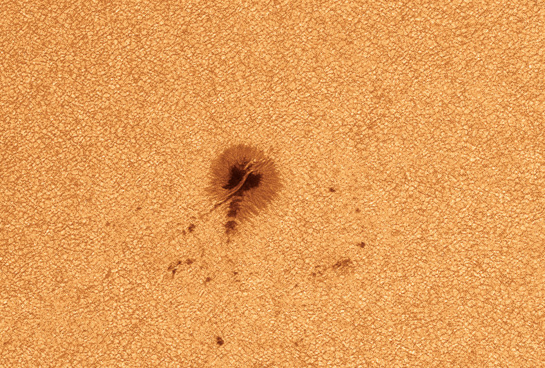 10052016-soleil tartou